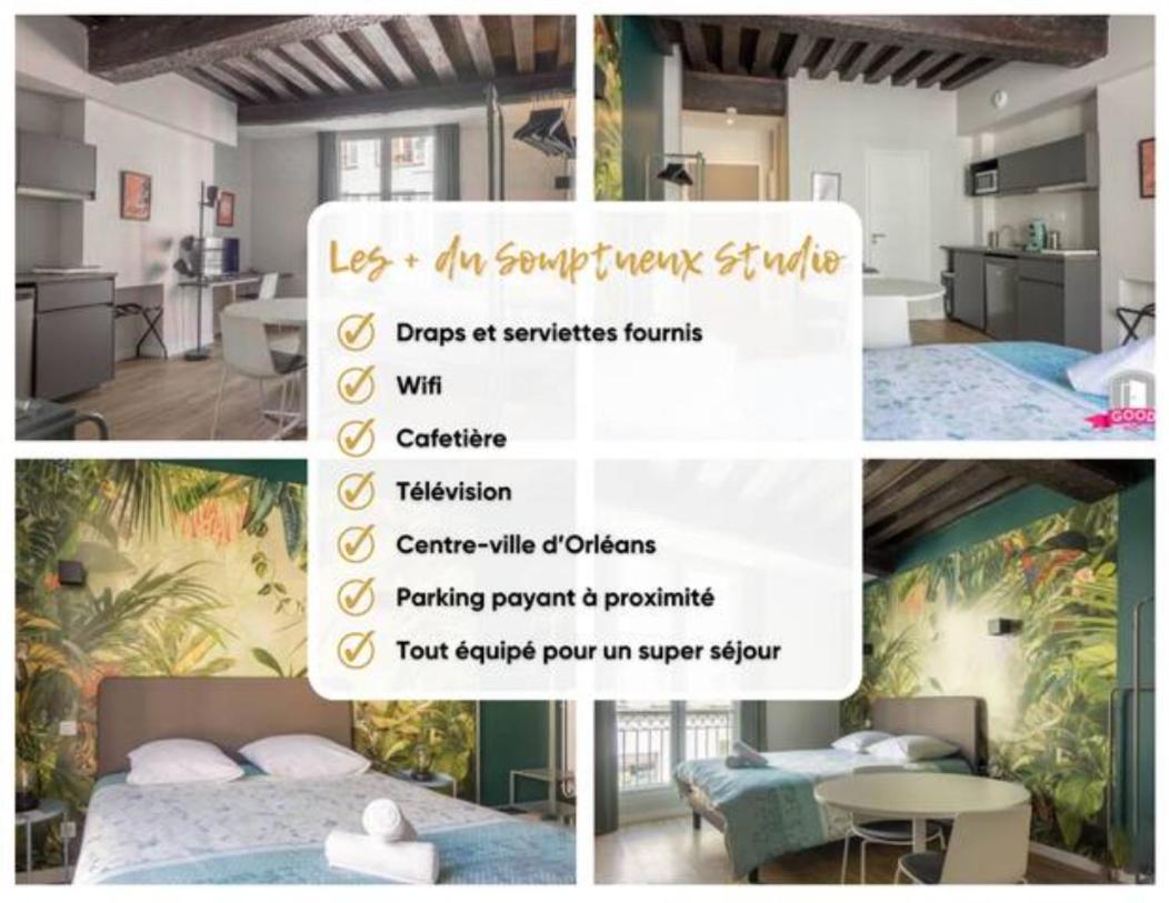 Somptueux Studio Hyper Centre Avec Wifi Daire Orléans Dış mekan fotoğraf